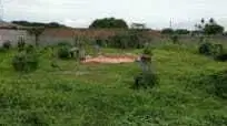 Disewa Kavling Cocok Untuk Gudang / Pabrik Teluk Naga Tangerang