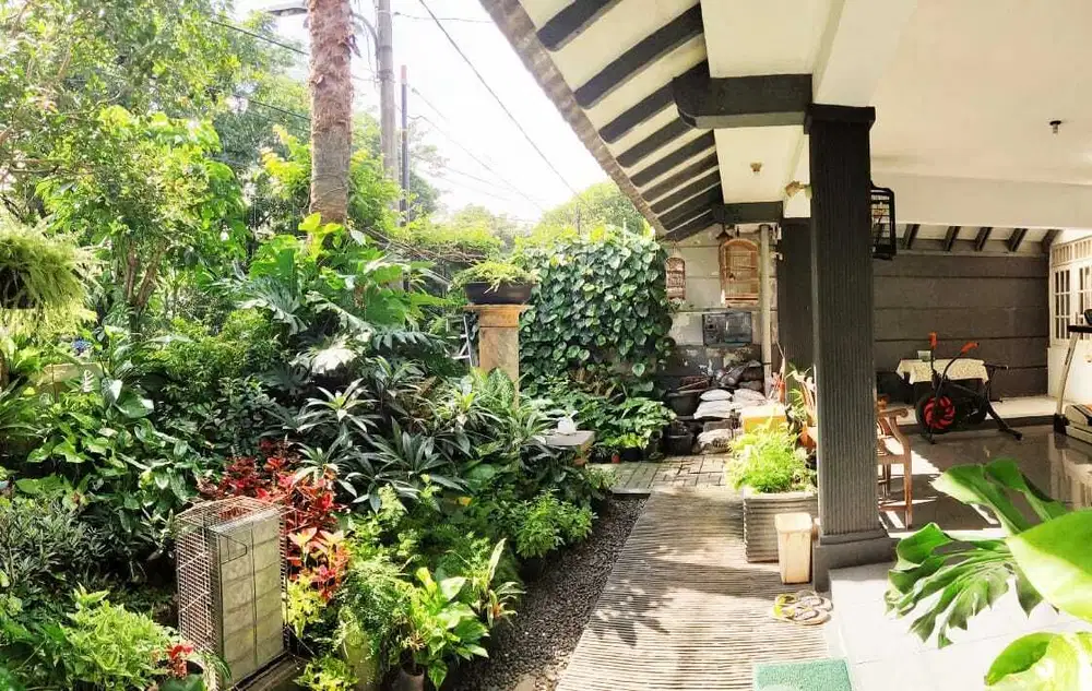 Rumah bagus Tropical modern SHM semi furnished Bintaro (LH 023 )