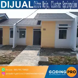 Dijual rumah minimalis di Citra Maja Raya, Cluster Springview