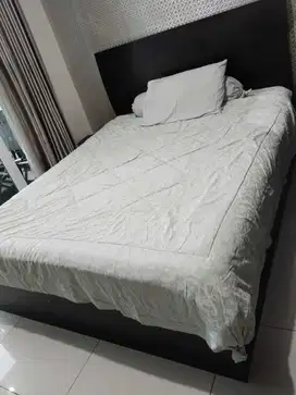 Thamrin Executive Residences Studio Lantai 27 Full Furnished
