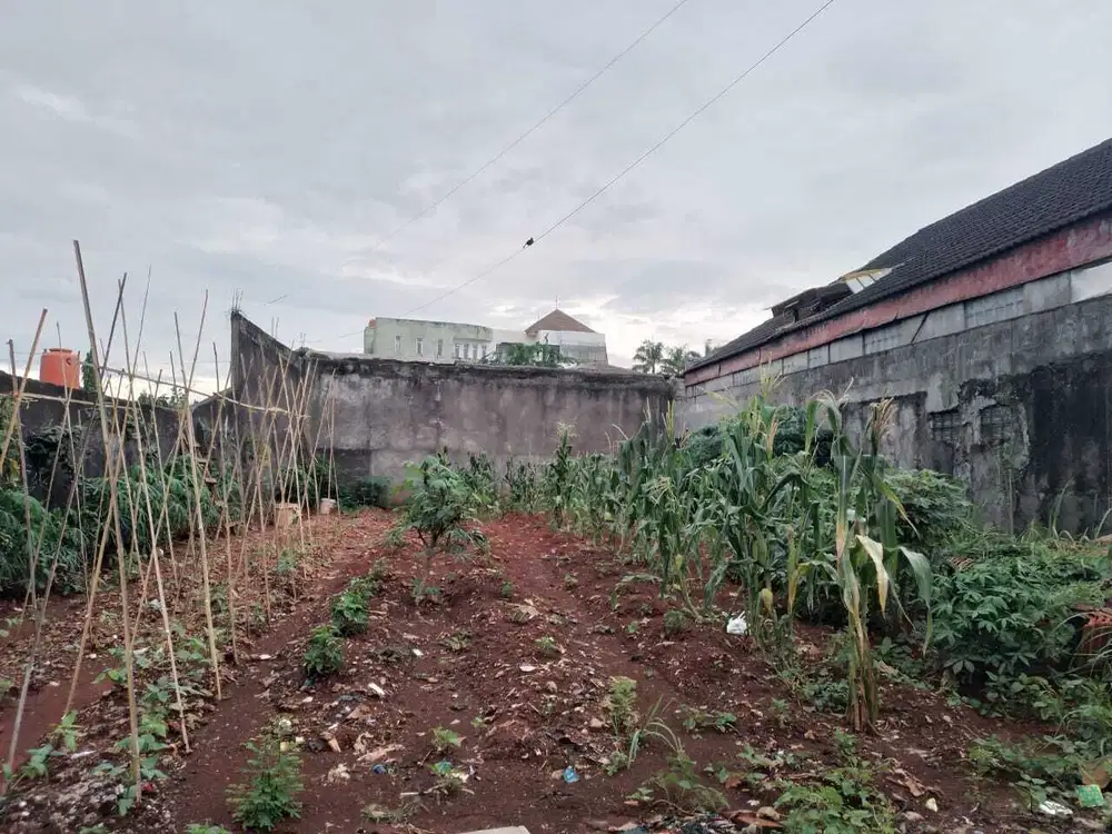 SIAPA CEPAT.! TANAH DARAT 235m² SHM JL SWADAYA - DUREN SAWIT
