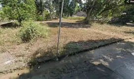 Pekarangan Luas, Tirtoadi, Cocok Perumahan dan Kavlingan