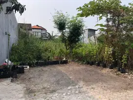 ‼️JUAL CEPAT‼️COCOK DIKAVLING TANAH BUNCITAN SEDATI SIDOARJO