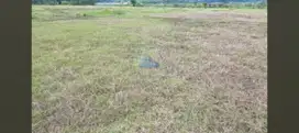 Jual Tanah Murah Di Pasir Gintung, Jayanti, Tangerang - Banten.