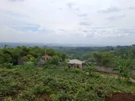 Dijual sebidang tanah/kebun