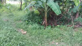 TANAH SHM SAWAH HARGA MURAH DI DEKAT JL PURBAYA MLATI DEKAT FASUM. JK10434