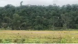 Jual Tanah dikawasan industri Millenium Tigaraksa - Tangerang, Banten