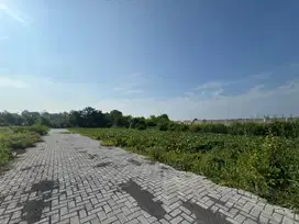 Tanah Dalam Ringroad Jogja, 7 Menit Kampus UGM