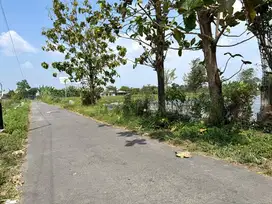 5 Kampus UII Pusat, Tanah Pekarangan Murah