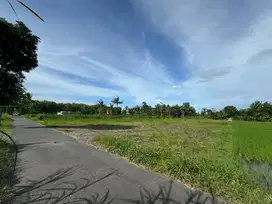 Tanah Murah Belakang Kampus UII Jogja, SHM P