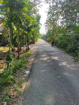 TANAH PEKARANGAN HOOK JL ASPAL DKT JL BANTUL COCOK UTK KAVLING.JK13423