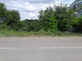 Tanah 200 m Pinggir Jalan Raya Palka Dekat Untirta Sindangsari