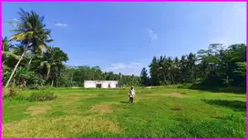 Dekat Polsek Sentolo Tanah kavling siap bangun di  Kulon Progo