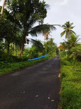 BU  BU  DIJUAL CEPAT SAWAH MURAH AREA BANGUN KERTO TURI SLEMAN. JK10442
