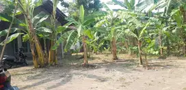 DIJUAL TANAH PEKARANGAN BONUS RUMAH MURAH MERIAH, STRETEGIS JK11505