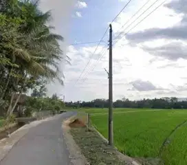 INVESTASI TANAH SAWAH 543M2 439JT NEGO DEKAT JL GODEAN .JK13429