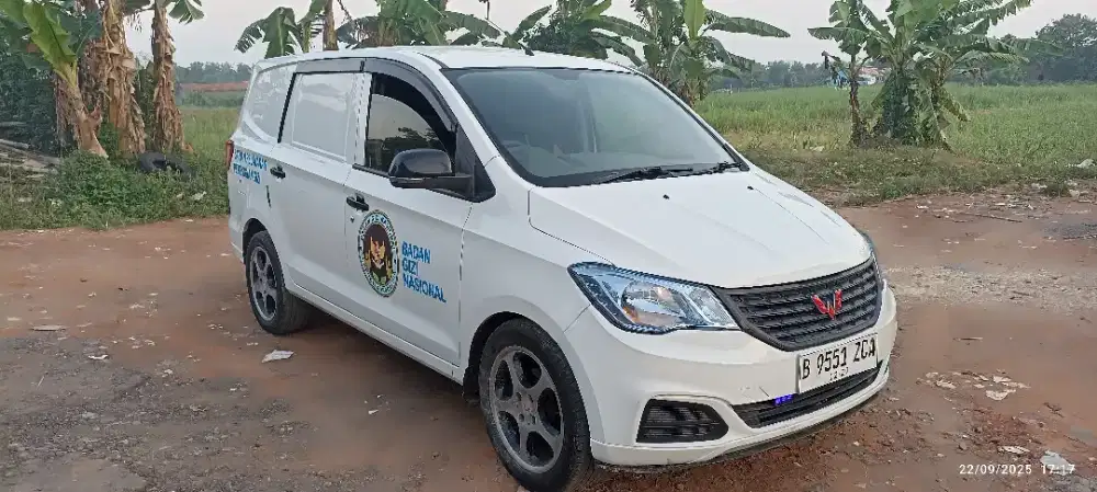 Wuling Formo Blindvan 2019