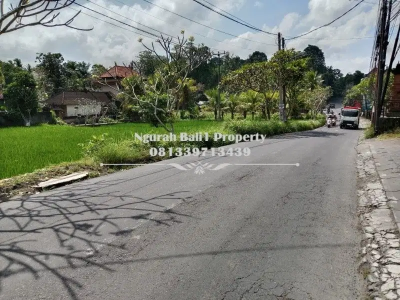 Tanah Premium Disewakan Murah Luas 12,7 Are di Ubud Gianyar Bali