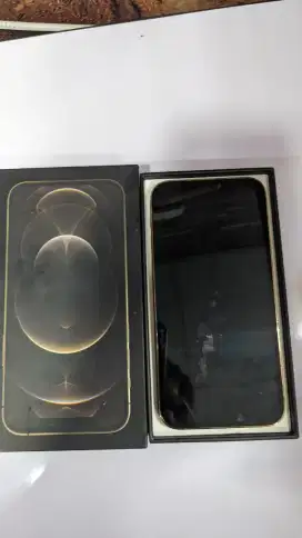 iPhone 12 Pro 256 iBox