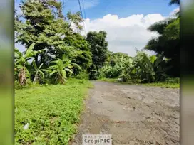 Dijual Lahan di Parung Panjang, Bogor
