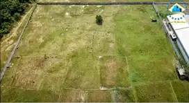 Jual Tanah di Kawasan Industri Modern Estate Cikande  - Serang Banten
