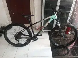 Polygon Xtrada 5