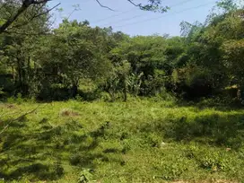 Tanah Jalan Raya Transyogi Termurah
