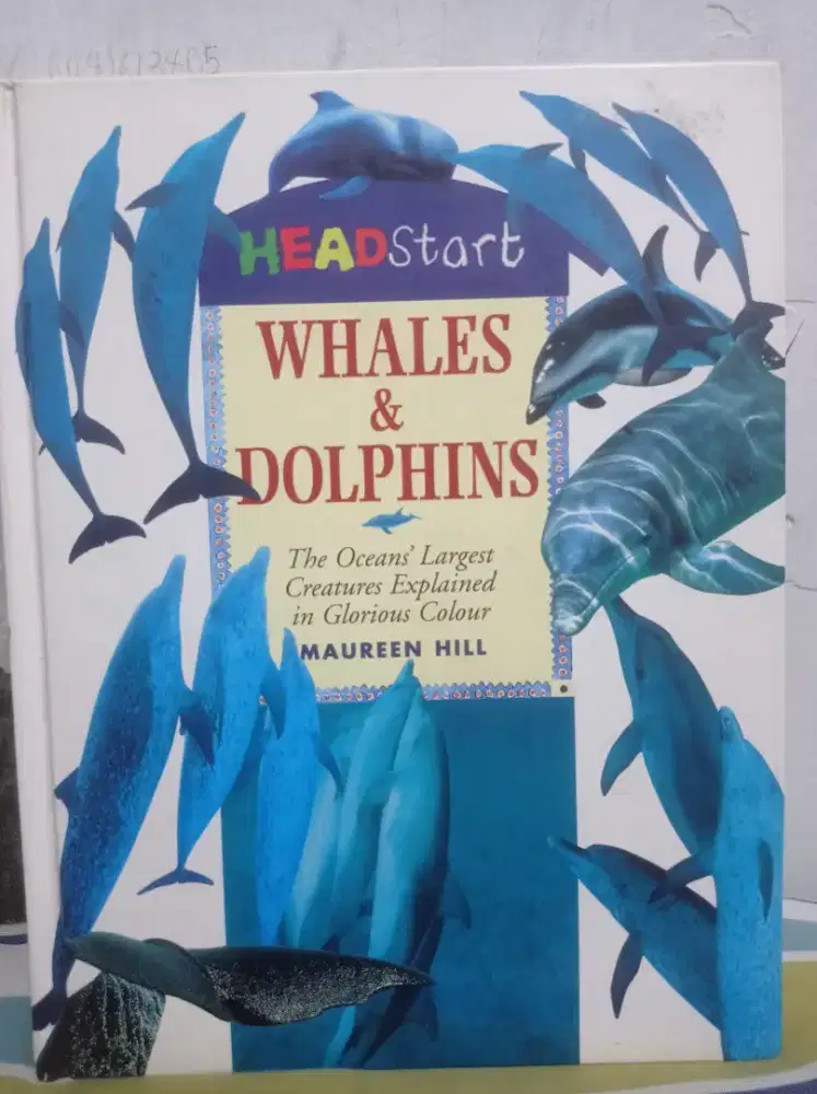 Buku Headstart - Whales and Dolphins by Maureen Hill