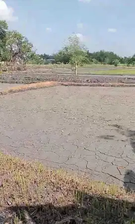 DIJUAL TANAH PEKARANGAN VIEW SAWAH MURAH, COCOK HUNIAN/INVES, JK11545