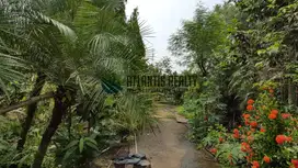 Dijual Cepat Tanah di pagedangan serpong BSD