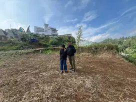 Tanah murah di puncak luas 526m2 udara dingin