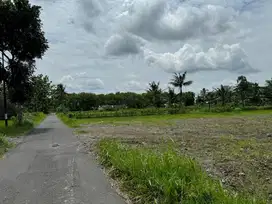 Tanah Belakang Kampus UII Jogja, Prospek Bangun Homestay