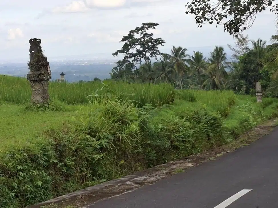 Dijual tanah kebun luas 375m² view sawah