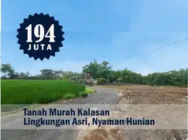 Tanah Murah Kalasan, 100 Jt-an, Cocok Bangun Hunian