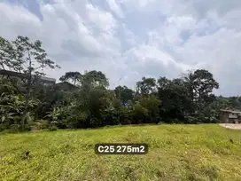 Tanah di luas 275m2 sumber air melimpah di puncak