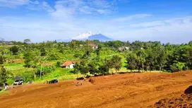 Tanah Hak Milik 1000M2 Di Puncak Bogor Dekat Safari