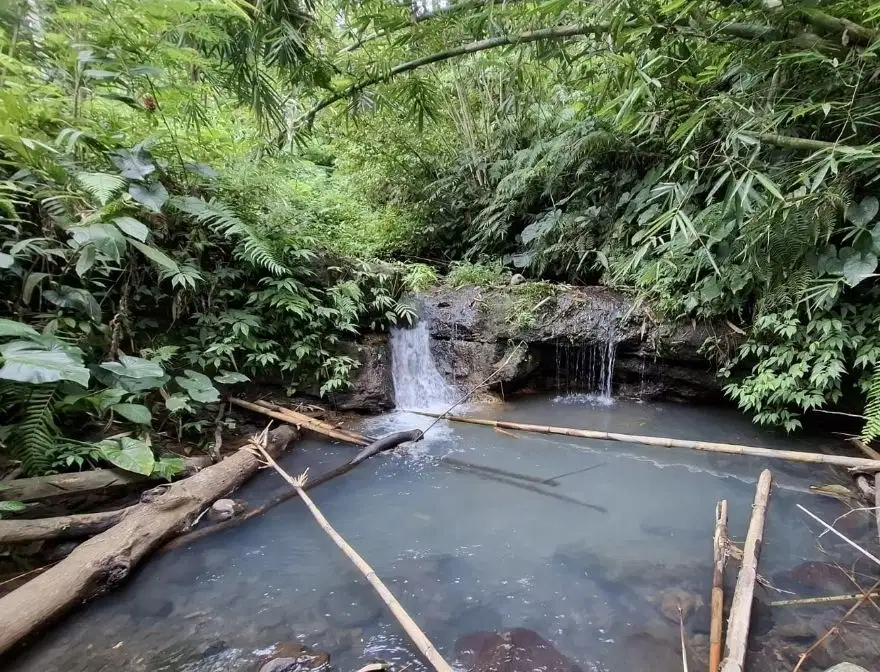 Kebun dikelilingi aliran sungai dan berisi air terjun mini