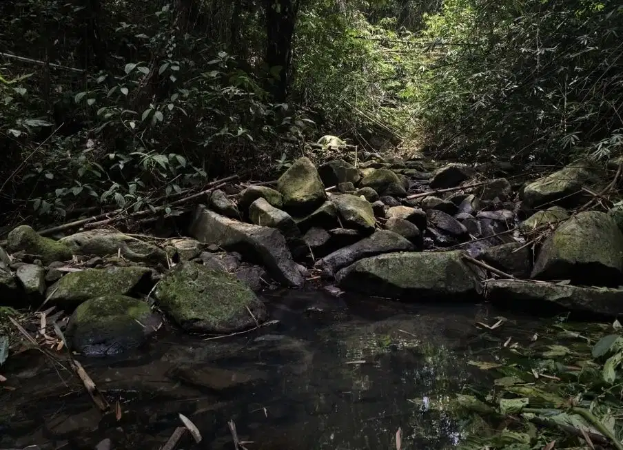 Tanah kebun los sungai hanya 13 menit menuju wisata UNESCO Jatiluih