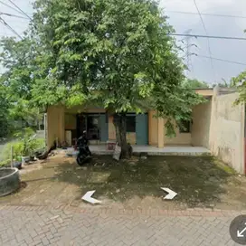 rumah usaha murah hitung tanah area wisma lidah kulon dkt Wiyung