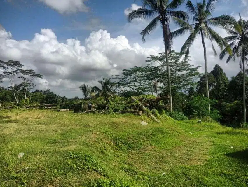 Tanah Super Premium Ubud Payangan Dkt alilla hotel dan hanging garden