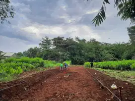 Tanah Kavling Bisa di Cicil 12x Tanpa Bunga, Dekat Tol Jatikarya/CIMAC