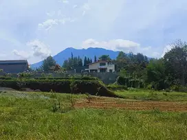 Tanah di Puncak Luas 295m² Strategis Dekat exit tol