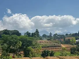 Tanah dijual cepat luas 10.000m2 di puncak, 900mdpl