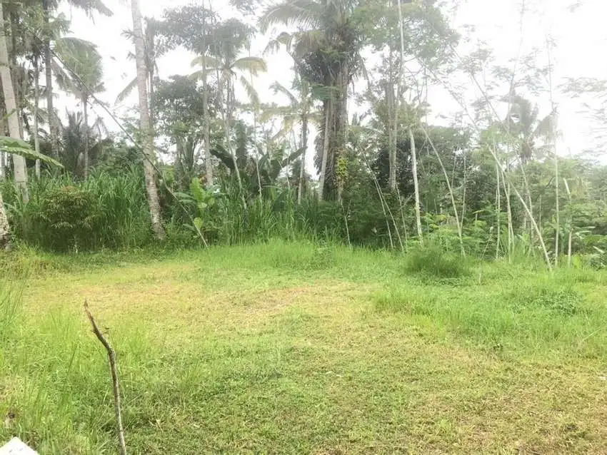 Tanah super murah turun harga 50jt ubud los sungai ayung