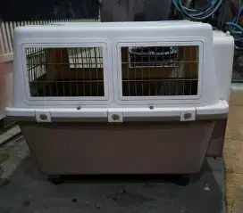 Jual kennel box