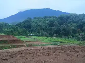 Tanah di puncak bogor luas 220m2 udara dingin 900mdpl