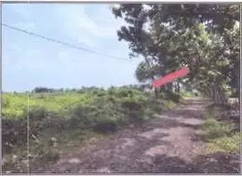 Tanah Luas Dan Murah Strategis Desa Martopuro, Purwosari Pasuruan