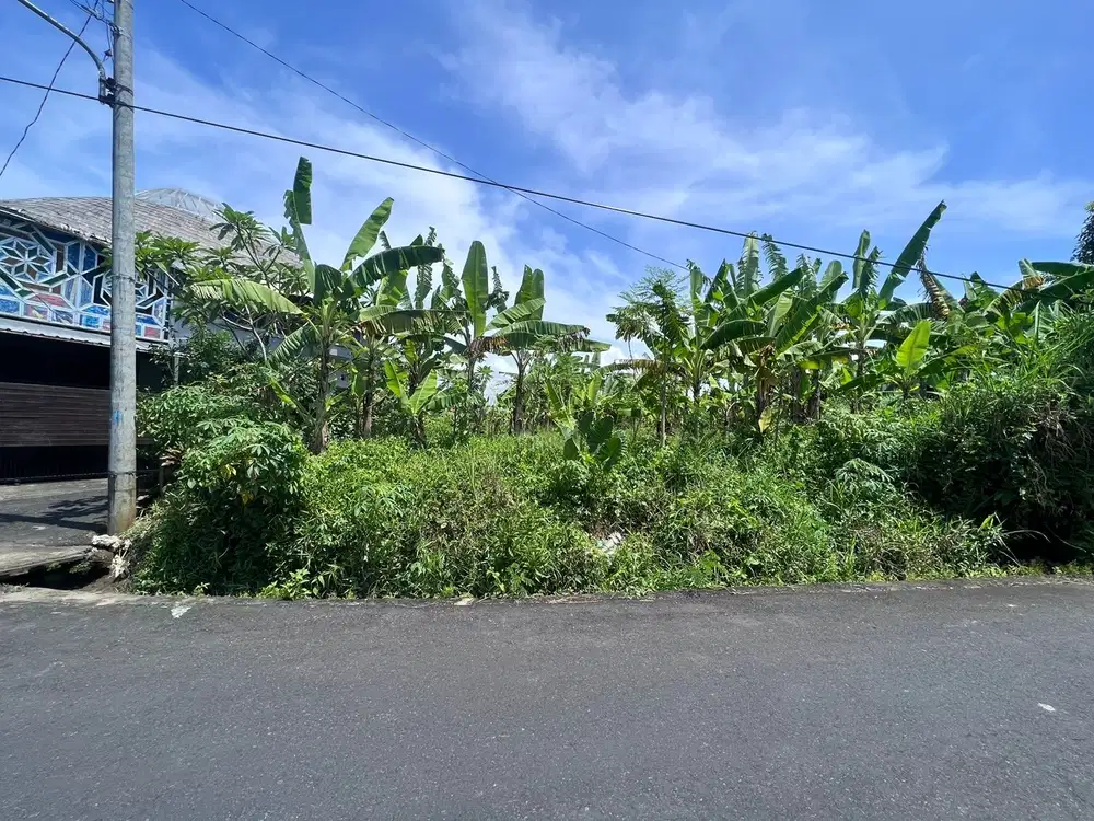 DIJUAL TANAH  KOSONG LINGKUNGAN VILLA DI CANGGU