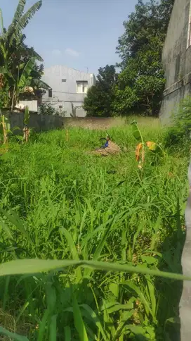 Tanah kavling cocok buat rumah murah dekat pintu tol di cileungsi bogo