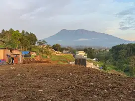 Tanah 1000m2 Cocok Untuk Villa Akses Bagus Di Puncak